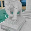 银川 白麻花岗岩动物异形石雕-大象