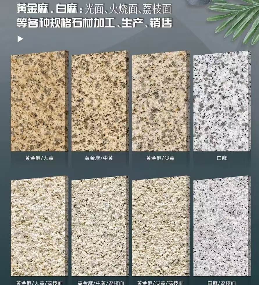 银川 黄金麻白麻样品展示